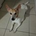 Christine Deron - Facebook