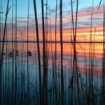 Chris Derrickson - @cwderrickson - Instagram