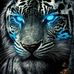 Chris Derrig - Facebook