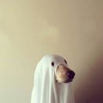 >=-Chris-=< - @chrisderwent - Instagram