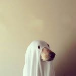Chris Derwent - @_chrisderwent - Instagram