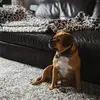 chris_desch - @chris_desch - TikTok