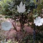 Marie Christine desforges - @desforgesmariechristine - Instagram