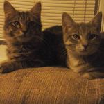 Chris Kiser DeShong - @cdeshong6pups - Instagram