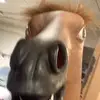 user9203853669391 - @chrisdesousa1 - TikTok