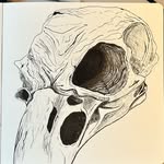 Chris - @chris_dessine - Instagram