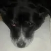 Chrisdess - @christophedessilv - TikTok