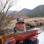 Chris Dettmann - @chrisdettmann - Instagram