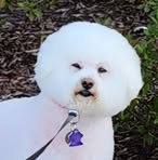 Chris DeVault - Facebook