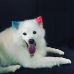 Chris Devoe - @isachri577 - Instagram