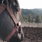 Chris Dewald - @cndewald - Instagram