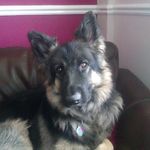 Chris Dexter - @chris.dexter.735 - Instagram