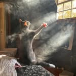 Chris Topher - @chris_dey_boss - Instagram