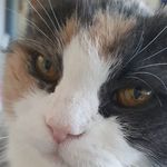 Chris Dibble - @dibble.chris - Instagram