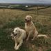 Chris Dickie - Facebook