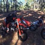 Chris Dickie - @cjdickie1 - Instagram