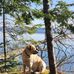Chris Dicus - Facebook