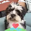 Christian Dieckmann - @christian.dieckma - TikTok
