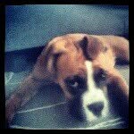 @_chris_dieterman_ - Instagram