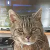 Christoph Dietzmann - @christophdietzmann - TikTok