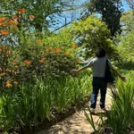 Chris DiFalco - @di.falco - Instagram