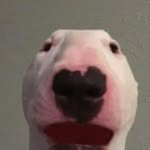 @chris_move_different - Instagram