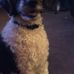 Chris Difoglio - Facebook