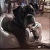 Christina DiGiovanni - Facebook