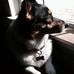 Chris Dilbeck - Facebook