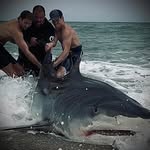 Chris Dilecce - @mister_unscammable - Instagram