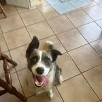 Chris Dilger - @dilgerchris - Instagram