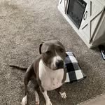 Christine Dilger - @christine.dilger.7 - Instagram