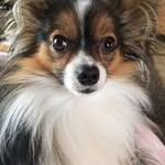 Chris Dillen - @chris.dillen2 - Instagram