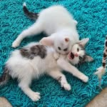 Chris Dilley - @dilley.chris - Instagram