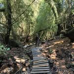 Christian Dillems Moresco - @chris_dillems - Instagram