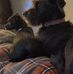 Christy Dillenbeck-Einwalter - Facebook
