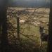 Chris Dilley - Facebook