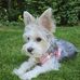 Chris Dills - Facebook