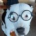 Chris Dilly - Facebook