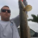 Chris Dimaio - @topwater_slayer - Instagram