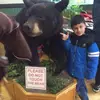 chris - @chris.dimarino - TikTok