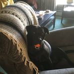 Kris Lyons-DiMarzio - Facebook