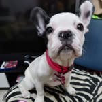 Christian Di Napoli - @negan90 - Instagram