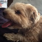 Chris Dinescu - @chris.dinescu - Instagram