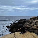 Chris-Ding - @chris_dayong - Instagram