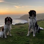 Chris Dingley - @clydeandossiesdad - Instagram