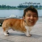 Chris Dinh - @dinher4two - Instagram