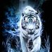 Chris Timas Dinner - Facebook