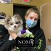 Christina DiRenzo - Facebook