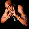Chris DiSalvo - @distoner420 - TikTok